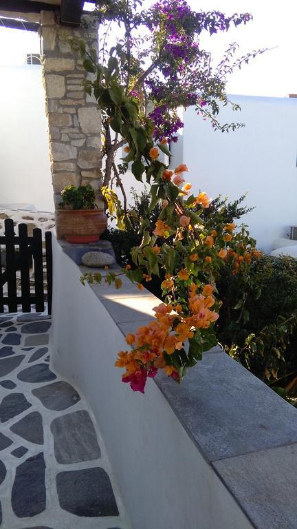 Appartement Anchor Αpartments à Mykonos Town Extérieur photo