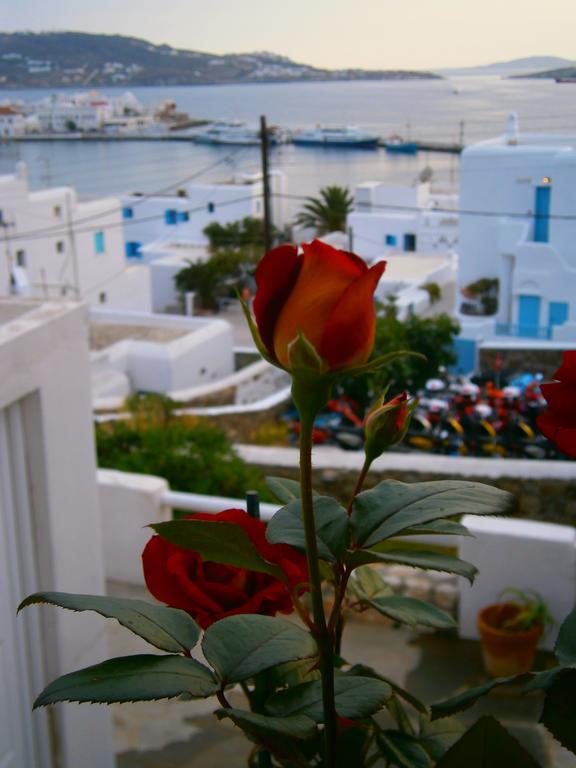 Appartement Anchor Αpartments à Mykonos Town Extérieur photo