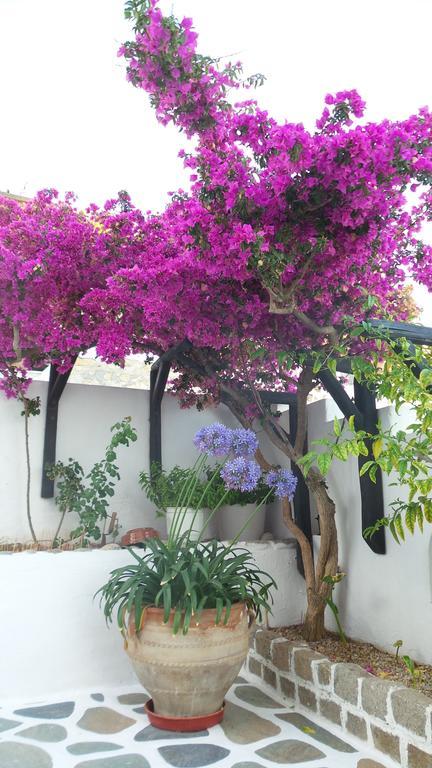 Appartement Anchor Αpartments à Mykonos Town Extérieur photo