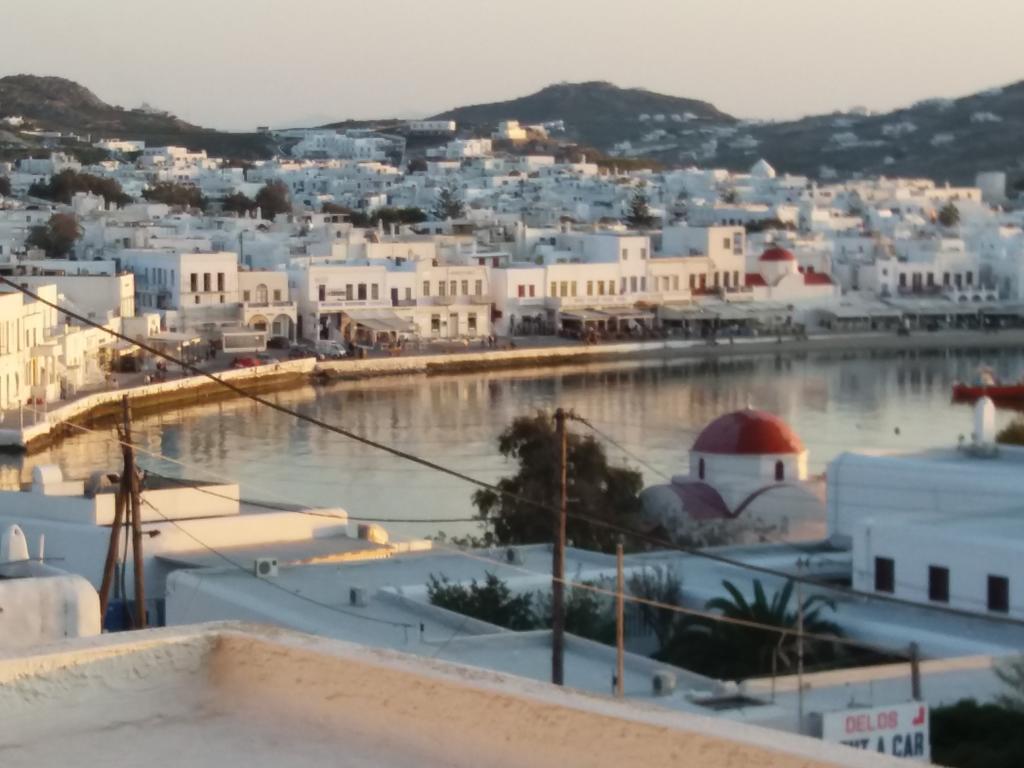 Appartement Anchor Αpartments à Mykonos Town Extérieur photo
