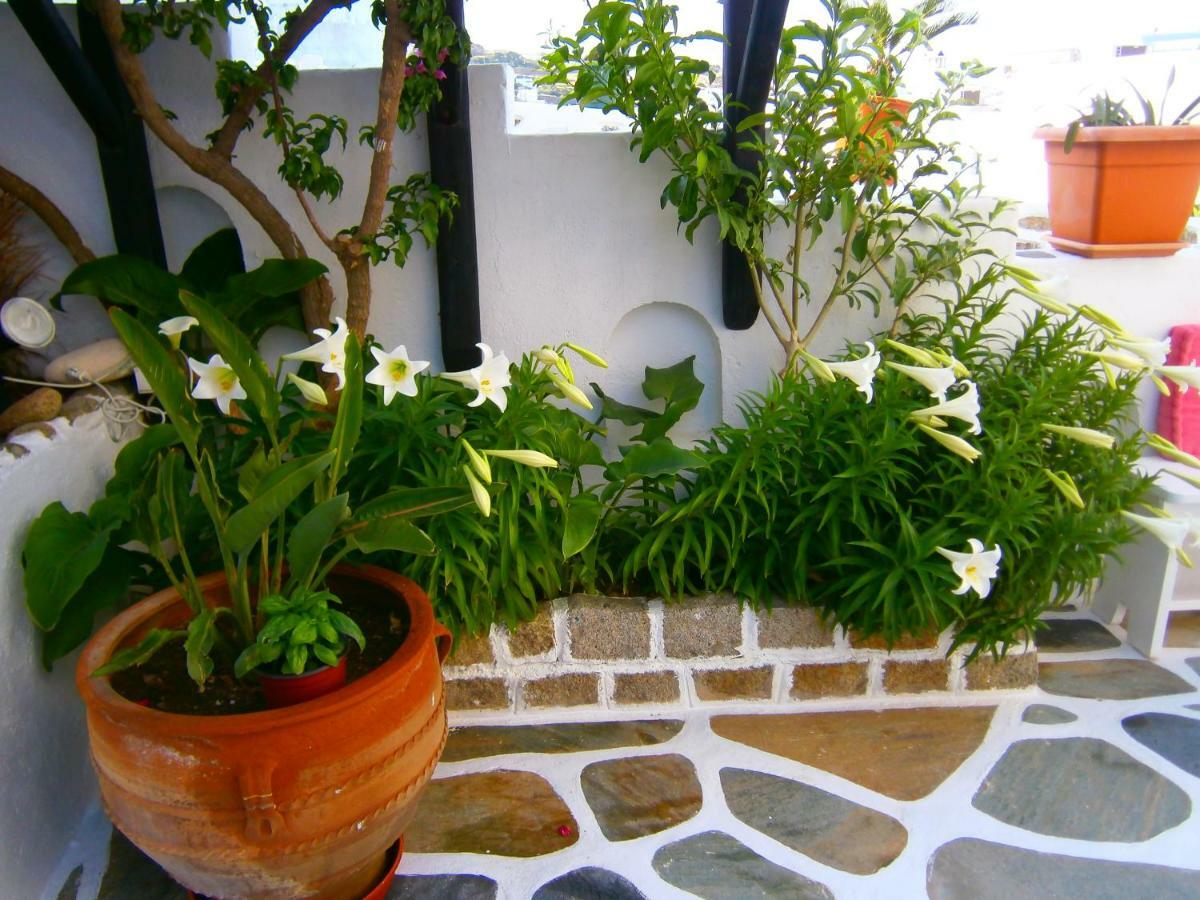 Appartement Anchor Αpartments à Mykonos Town Extérieur photo